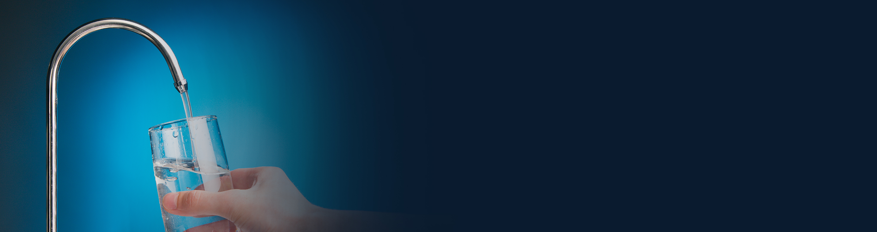 Image Title Alt
