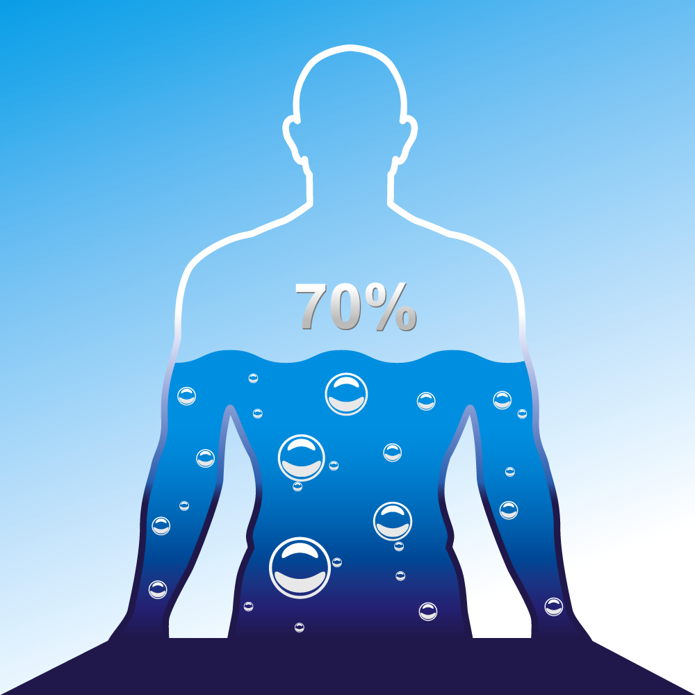 volume eau dans le corps